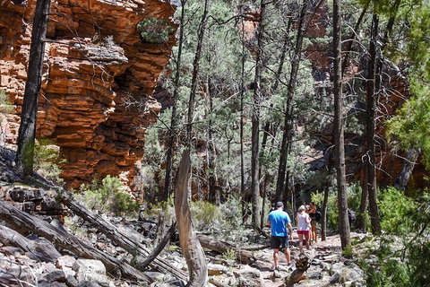 6-Day Eyre Peninsula & Flinders Ranges Adventure Tour - Accommodation in Brisbane 5