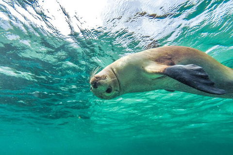 10-Day Adelaide To Perth Adventure Tour - Accommodation in Brisbane 1