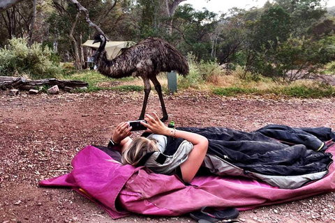 6 Day Esperance & Margaret River Adventure Tour - Accommodation in Brisbane 5