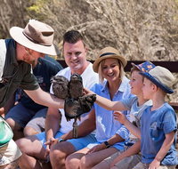 2 day Ultimate Kangaroo Island with return ferry - Accommodation in Brisbane