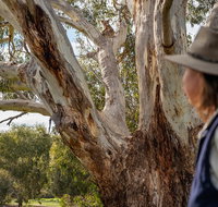 NEW TOUR - Kangaroo Island Road to Recovery Tour 1 Day/1 Night - Accommodation in Brisbane