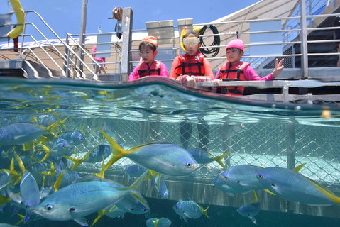 Outer Reef Pontoon Experience From Cairns - Accommodation in Brisbane 0