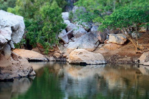 Windjana Gorge And Tunnel Creek 4WD Tour From Broome - Accommodation in Brisbane 5