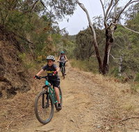 Mount Lofty Descent Bike Tour from Adelaide - Accommodation in Brisbane