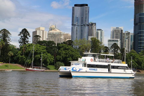 Lone Pine Koala Sanctuary Admission With Brisbane River Cruise - Accommodation in Brisbane 2