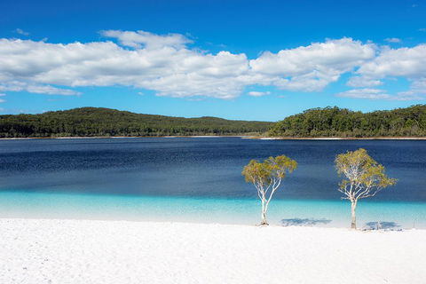 All-Inclusive Fraser Island Day Tour - Accommodation in Brisbane 3