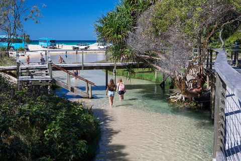 All-Inclusive Fraser Island Day Tour - Accommodation in Brisbane 4