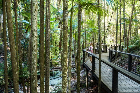 All-Inclusive Fraser Island Day Tour - Accommodation in Brisbane 5