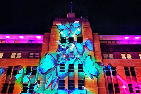 Vivid 90-Minute Sydney Harbour Small Group Catamaran Cruise - Accommodation in Brisbane 0