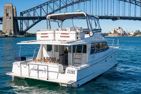 Vivid 90-Minute Sydney Harbour Small Group Catamaran Cruise - Accommodation in Brisbane 4