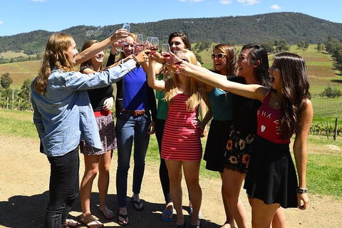 Hunter Valley Wine Tour From Sydney Incl Lunch, Cheese, Chocolate And Distillery - Accommodation in Brisbane 3