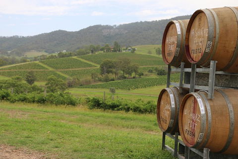 Hunter Valley Wine Tour From Sydney Incl Lunch, Cheese, Chocolate And Distillery - Accommodation in Brisbane 5