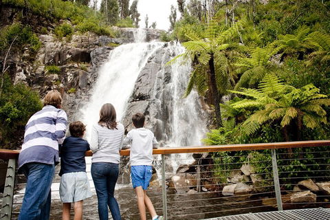 Lake Mountain Snow Trip Including Yarra Valley Chocolaterie From Melbourne - Accommodation in Brisbane 0