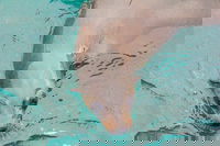 Wilsons Promontory Full Day Cruise