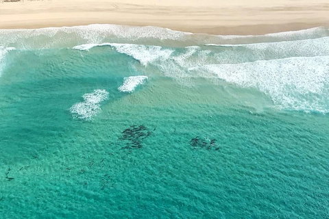 Coastal Helicopter Shared Flight - 20 Minutes - Accommodation in Brisbane 4