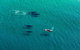 25-30 Minute Newcastle & Macquarie Helicopter Shared Flight - thumb 4