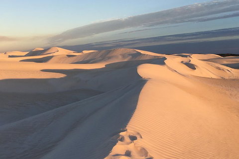Pinnacles Desert Private Tour - Accommodation in Brisbane 1