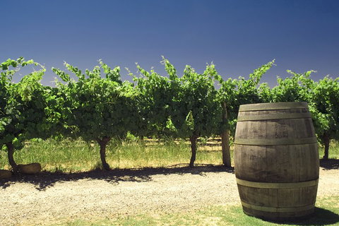 Pinnacles Desert Private Tour - Accommodation in Brisbane 5