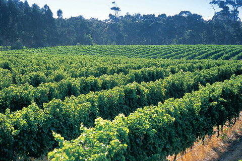 Swan Valley Private Tour - Accommodation in Brisbane 1