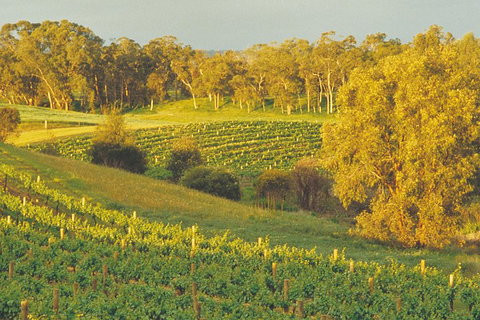 Swan Valley Private Tour - Accommodation in Brisbane 2