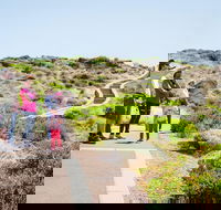 Margaret River Coastal and Wildlife Eco Trip from Busselton or Dunsborough - Accommodation in Brisbane