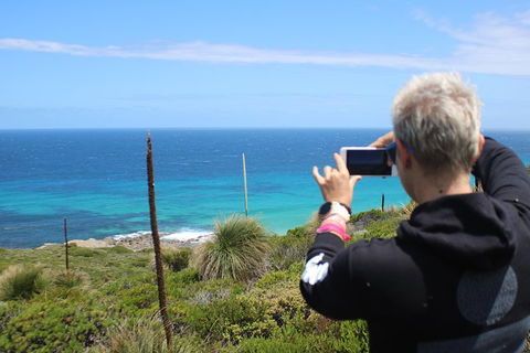 Margaret River Coastal And Wildlife Eco Trip From Busselton Or Dunsborough - Accommodation in Brisbane 3